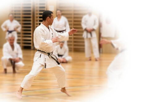 Fumitoshi KANAZAWA sensei in Österreich