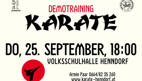 Karate Demotraining Henndorf