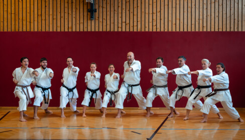 Karate Demotraining & Start Anfänger*innenkurs Henndorf a.W.