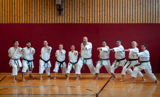 Karate Demotraining & Start Anfänger*innenkurs Henndorf a.W.